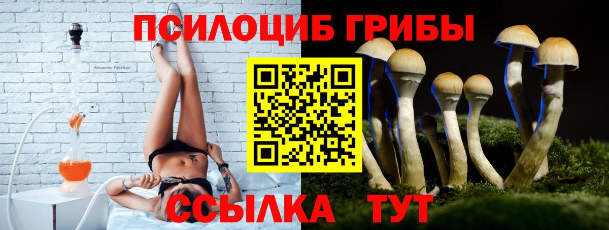 Псилоцибиновые грибы ЛСД  Вход с VPN  Сибай  Галлюциногенные грибы ЛСД 